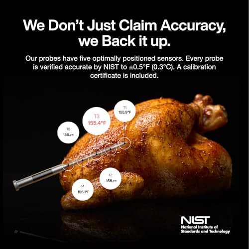 Smart Oven with Wireless Temperature Probe — photo 4